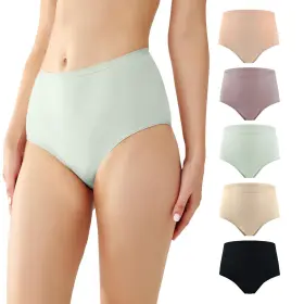 Woin-cohw-5co-3x Battewa Incontinence Underwear Washable Reusable Leak Proof 5 Pack 2x-large