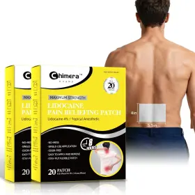 Chimera Guard 860013984229 40pack Pain Relief Patches - For Back Knee And Joint