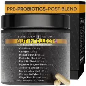 Formulation Factory 199284671805 Probiotics 10-in-1 Digestive Enzymes Prebiotics Postbiotics 120 Capsules