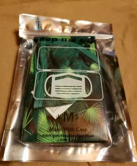 Keep Me Safe 811005028407 Brand New Reusable Adult Mask With Case Green Leaves
