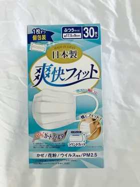 C00585 Lec 99% Guard Filter Individually Packaged Face Mask White Three Layer 30 Pcs