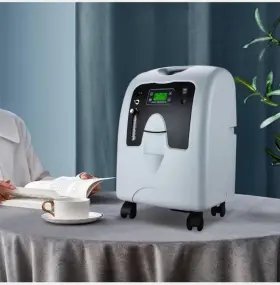 Ox-10a Lovego Home O2 Concentrator
