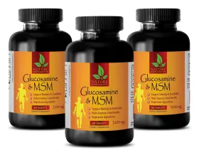 3bot Nature Supplements 700348729488 Glucosamine Pills - Chondroitin And Msm Increase Joint Strength