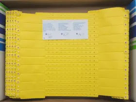 420-14-pdm Pdc A Brady Business Speedi-band Adult Write-on Bracelets Yellow - 500 Ct