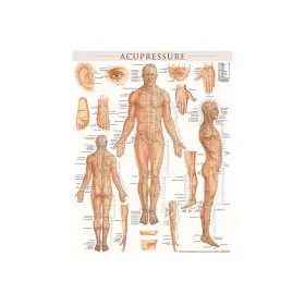 Quickstudy 9781423230762 Barcharts Inc. Acupressure Poster Reference Set