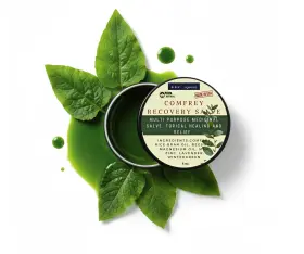 Serendipitous Summer Farms 643985454798 Comfrey Recovery Salve 4oz Natural Topical Healing Relief Ssf Organics Muslces