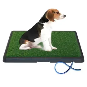 Gnp-02 Triple X Group.inc Portable Drainage Pet Urinal Toilet Grass Mat. Potty Containing