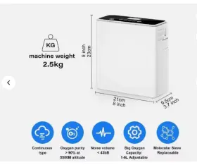 Zy-p-01 Ziqing Adjustable 1-6l Flow High Concentration Rechargeable Portable Oxygen