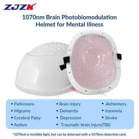 Uslh280-b26 Zjzk 1-20000hz Pbm Helmet 1070nm Near Infrared Light Therapy For Depression Anxiety