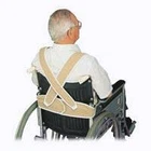 Posey Torso Support For With Wheelchair Users, Medium New. Price: $36.53.