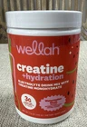 Wellah Creatine + Hydration Electrolyte Drink Powder Watermelon Slush New. Price: $15.84.