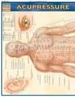 Acupressure (quickstudy: Academic) - Pamphlet By Barcharts, Inc. Very Good. Price: $13.22.