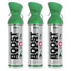 Boost Oxygen Large Natural 10 Liter Respiratory Support Health Canister, 3 Pack New. Price: $47.91.