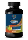 Tribulus Terrestris Extract 1000MG Sport Edition Testosterone Boost (1BOT 90CT) New. Price: $17.66.