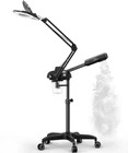 Tasalon 2-IN-1 Professional Facial Steamer, Hot Ozone Face Black, New. Price: $166.99.