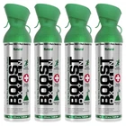 Boost Oxygen Large Natural 10 Liter Respiratory Support Health Canister, 4 Pack New. Price: $63.88.