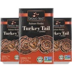 Bravo Tea Turkey Tail Herbal 20 Bags 3 Pack New. Price: $37.99.