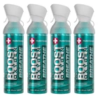 Boost Oxygen Breate Menthol All Natural 10 Liter Respiratory Canister, 4 Pack New. Price: $63.88.