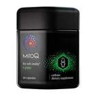+joint Adv COQ10 Antioxidant Supp - Contains Mitoquinol Mesylate & Green New. Price: $77.75.