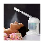 Kingsteam Facial Steamer - Ozone With Extendable Arm Professional N.... Price: $78.97.