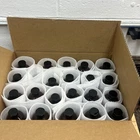 Glassbottleoutlet (pack Of 21) 8 Oz Amber Boston Round With Black Poly Cone Cap New. Price: $24.00.