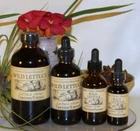 Wild Lettuce Extract Induce Sleep Mild Sedative Organic Folk Remedy Tincture New. Price: $27.75.