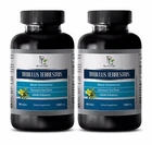 Maca Powder Tribulus Terrestris 1000MG Reduces Apathy & Aggressiveness -180 New. Price: $32.25.