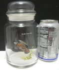 Vtg Ned Smith Glass Canister Jar Bob White Seal 26+ Oz Pa Wildlife Artist Used. Price: $29.50.