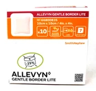 Smith & Nephew 66800835 Allevyn Gentle Border Lite Dressing X4" 10/BX Exp 7/26 New. Price: $18.00.
