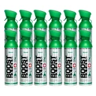 Boost Oxygen Large Natural 10L Canister Respiratory Support For Aerobic New. Price: $191.64.