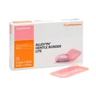Smith & Nephew 66800836 Allevyn 2 In. 4 (box Of 10) New. Price: $19.94.