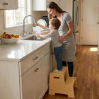 Stepup Baby Wooden Stool For Kids Varnished 2-STEP Toddler With Han New. Price: $61.48.