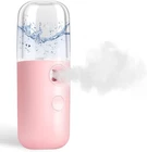 Giverare Nano Facial Steamer, Handy Mini Mister, Usb Rechargeable Sprayer New. Price: $25.97.