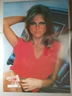 Cheryl Tiegs 1977 Classic Sexy Red Shirt Vintage Full Color Display Poster 20X28 Unspecified. Price: $59.95.