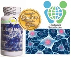 Celulas Madres Stem Cell Enhancer 60 Capsules Afa Blue Green Algae New. Price: $19.99.