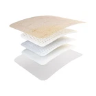 Mepilex Border Flex Adhesive With Foam Dressing, 6 Inch New. Price: $465.28.