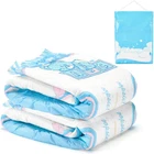Littleforbig Adult Printed Diaper 2 Pieces Pack 3 Prints Random Assorted - Potty New. Price: $21.95.