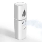 Giverare Nano Facial Steamer, Handy Mini Mister With Mirror, Usb 1-PACK White New. Price: $13.99.