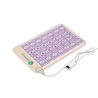 Healthyline 3220 Pemf Electric Infrared Heating Pad Therapy Mat With Amethyst New. Price: $499.00.