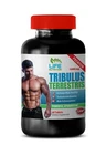 Sport Edition - Tribulus Extract 1000MG Testosterone Boost Bottle 60 Tablets New. Price: $17.28.