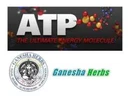 Adenosine Triphosphate - 100% Pure Atp Powder Grams New. Price: $99.99.