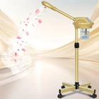 Wuissvnb Facial Steamer, Professional For Medium, Gold New. Price: $112.16.